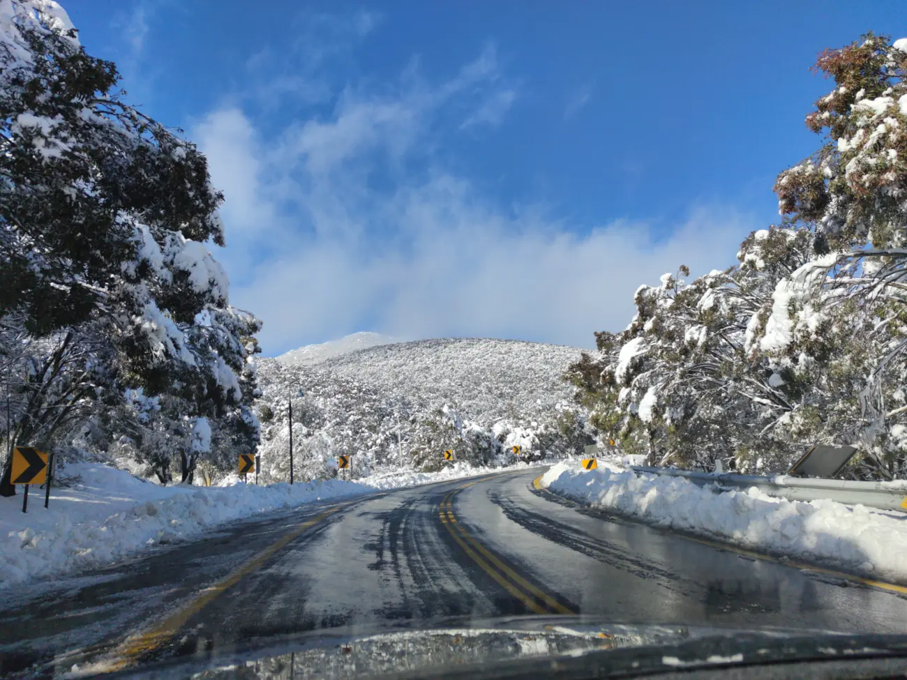 /imgs/jindy-thredbo-car-small.webp